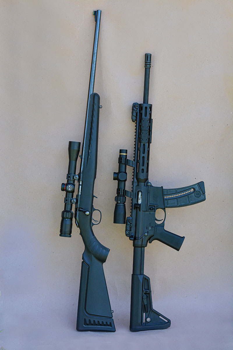 The Ruger American (left) is an inexpensive, reliable and accurate bolt action, while the Smith & Wesson M&P 15-22 (right) is a popular MSR-pattern rifle.